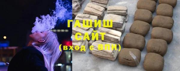 spice Богородицк