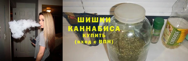 spice Богородицк