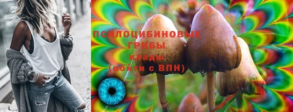 трава Краснослободск