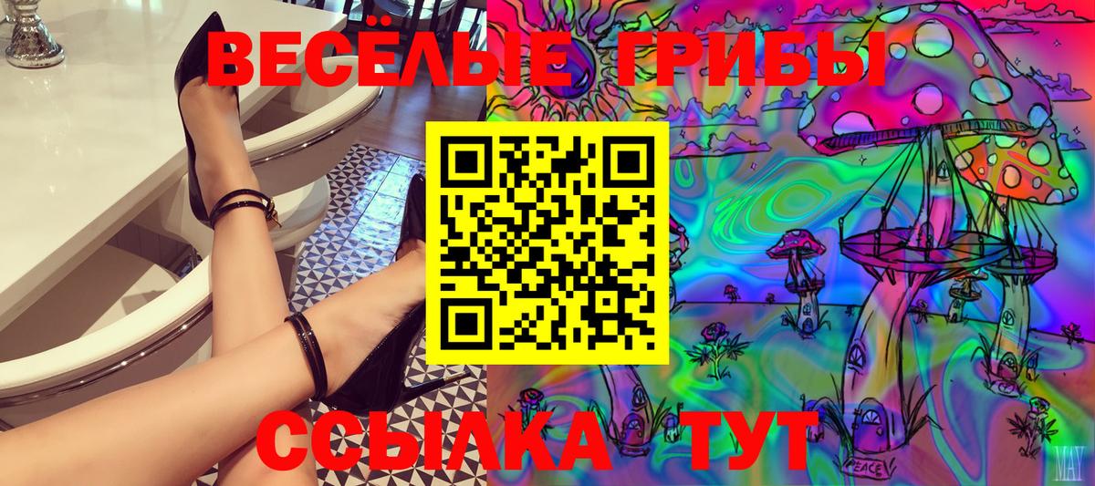Москва  Галлюциногенные грибы MAGIC MUSHROOMS  Вход с VPN 