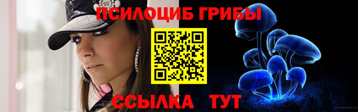 Галлюциногенные грибы Psilocybe Москва
